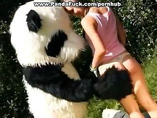 дикий секс наградить героя панды