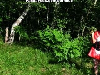 Красная Шапочка гребаный с пандой в лесу