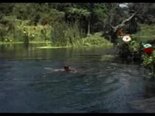 Жорже Риверо (также известные джордж рек), как адам -плавательный